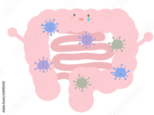 悪玉菌がいっぱいいる大腸