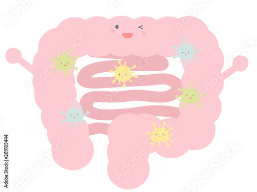 かわいい善玉菌がいる大腸