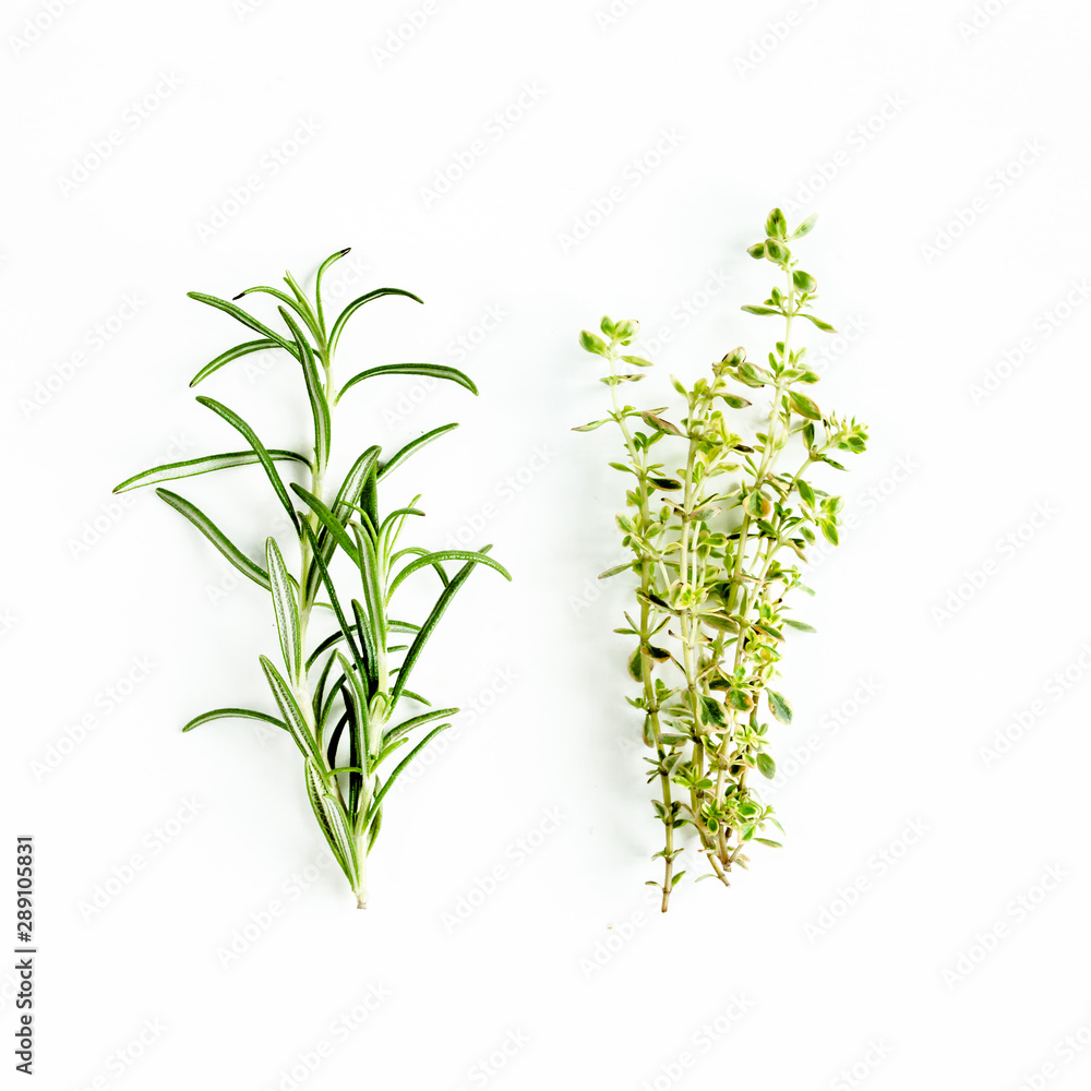 Green branchs of rosemary, thyme isolated on a white background. Flat lay. Top view Green branchs of rosemary, thyme isolated on a white background. Flat lay. Top view