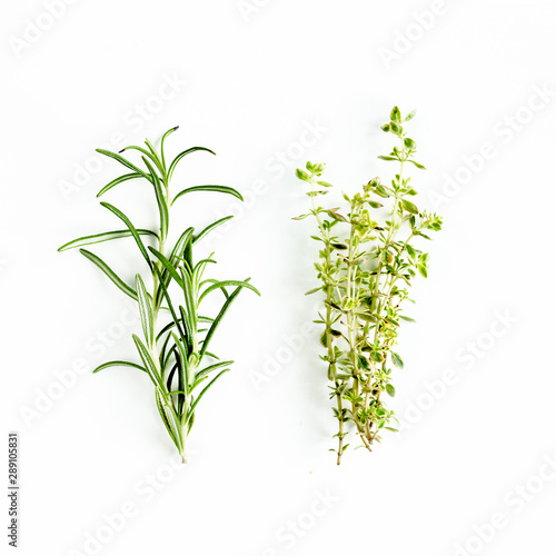 Green branchs of rosemary, thyme isolated on a white background. Flat lay. Top view