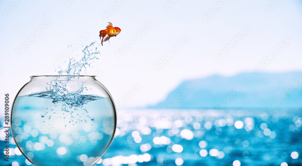 Fototapeta Złota rybka wyskakuje z akwarium i rzuca się do morza
