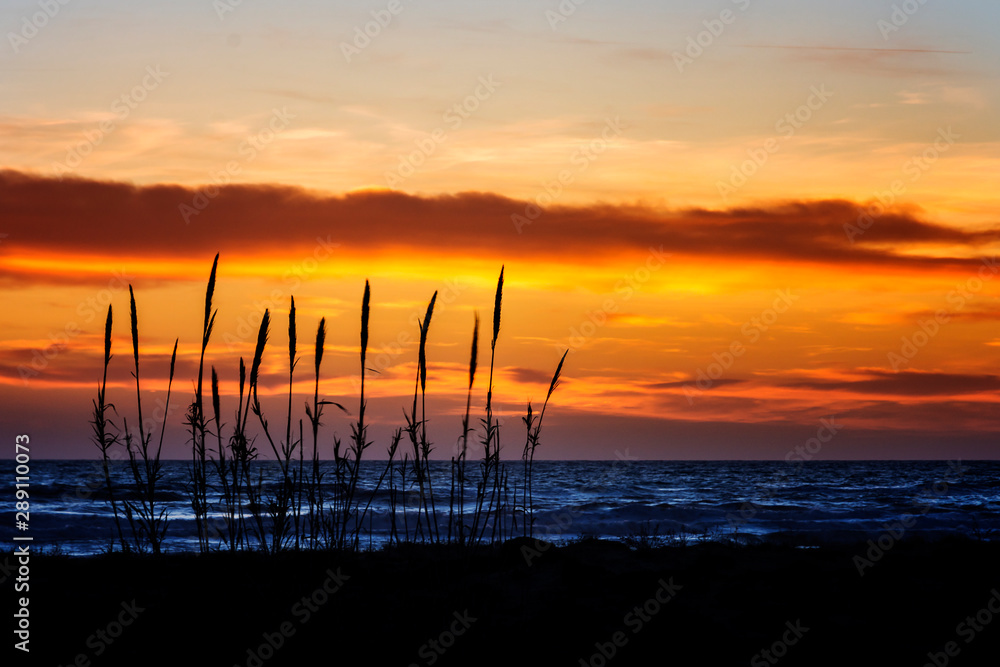 beautiful sunset at the sea in contact with nature