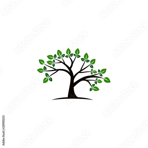 Tree vector icon. logo design elements.