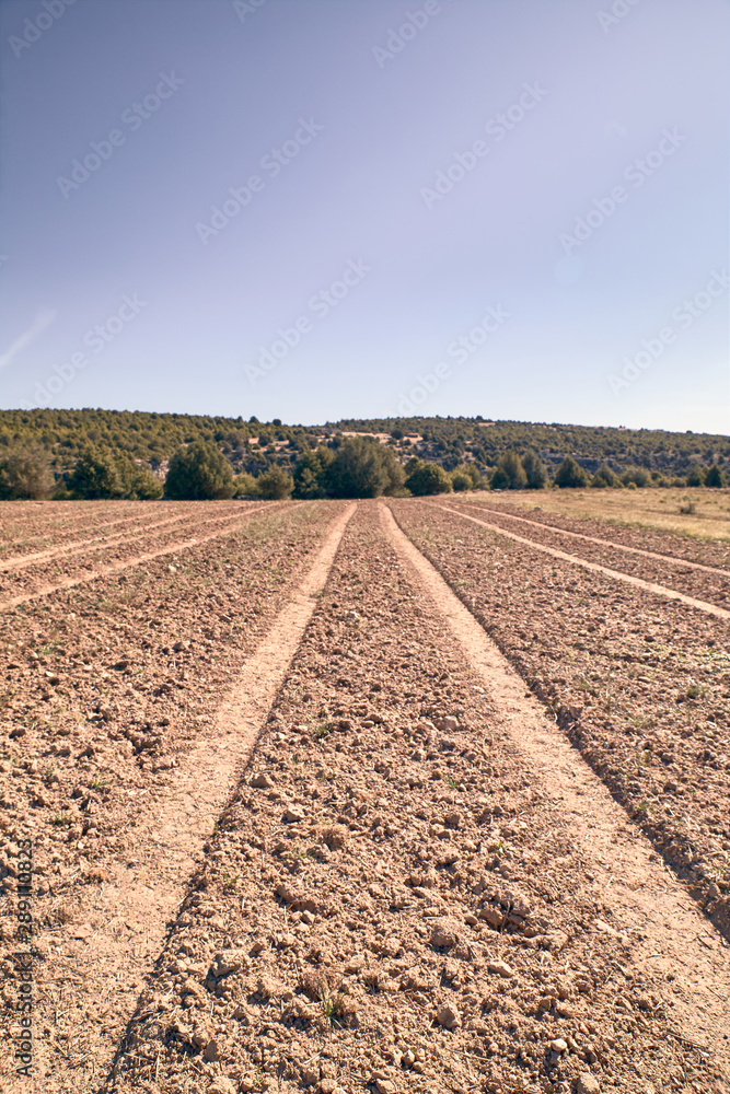 view of the ruts of a tractor in a farm field view of the ruts of a tractor in a farm field