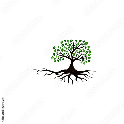 Tree vector icon. logo design elements.