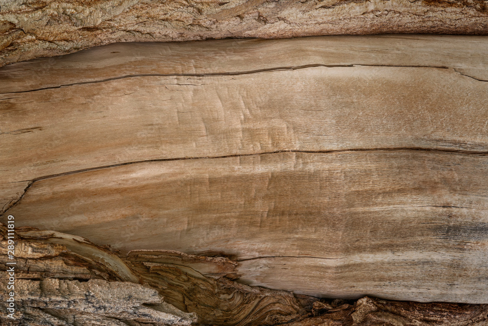 Natural untreated wood surface with vignetting effect Natural untreated wood surface with vignetting effect