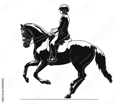Equestrian, dressage test, extended canter © irinamaksimova