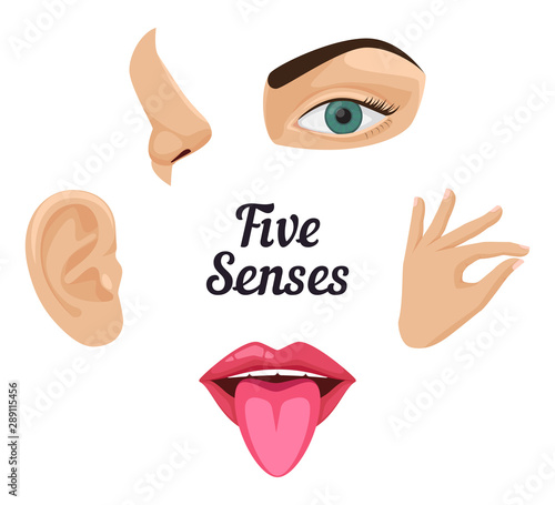 Five senses icon set: sight, hear, smell, taste, touch. Beautiful flat vector illustration: ear, mouth with tongue, nose, ear, eye, hand with fingers, lips. Human sense organs. Feels and sensations.