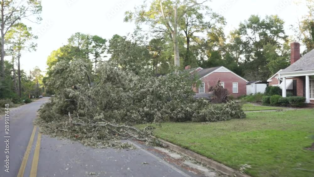 Drive on the street after the hurricane. Bent trees are lying on the road. A natural disaster in spring. Drive on the street after the hurricane. Bent trees are lying on the road. A natural disaster in spring.