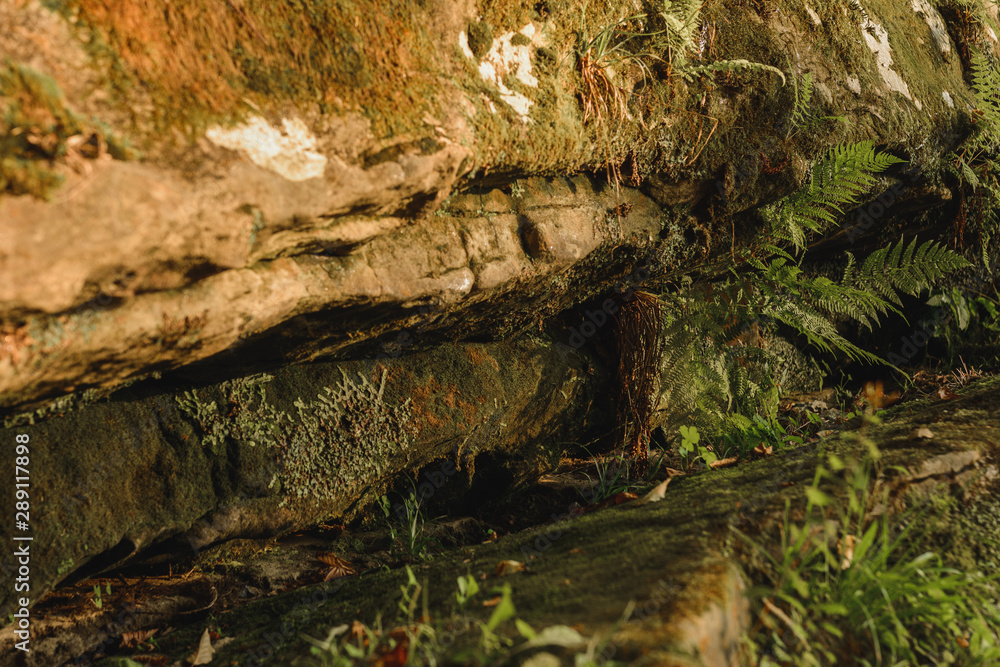 Fototapeta premium Carpathian river with large rocks on the banks, beautiful natural stream of the river. 2019