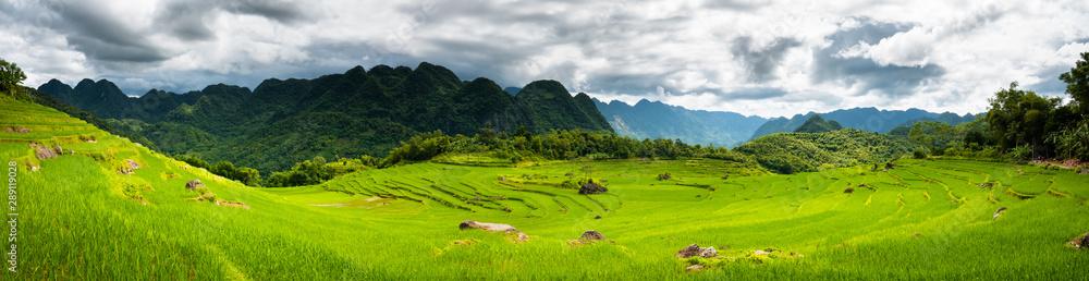 Terraced green and yellow rice fields of Pu Luong, close to Mai Chau in Thanh Hoa province. Transition stage to harvest season in Pu Luong. Stitched panorama.  - obrazy, fototapety, plakaty 