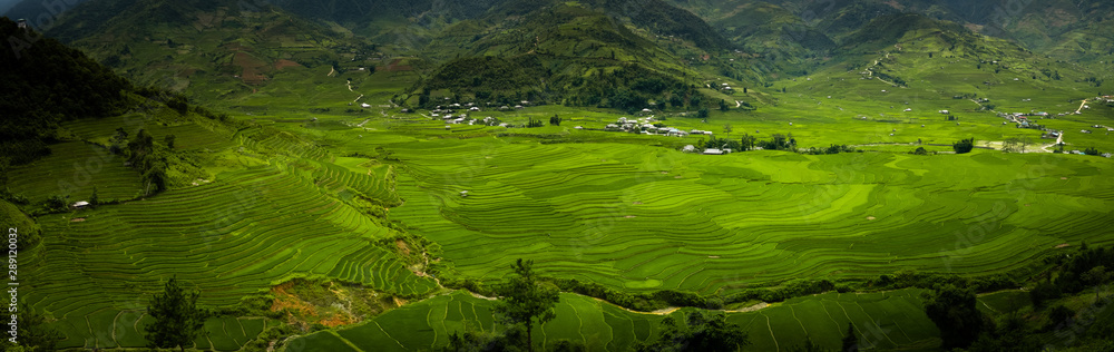 Aerial panorama view on the rice fields of Tu Le valley, between Nghia Lo and Mu Cang Chai.  Abstract lines of rice fields. 