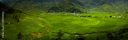 Aerial panorama view on the rice fields of Tu Le valley, between Nghia Lo and Mu Cang Chai. Abstract lines of rice fields. 