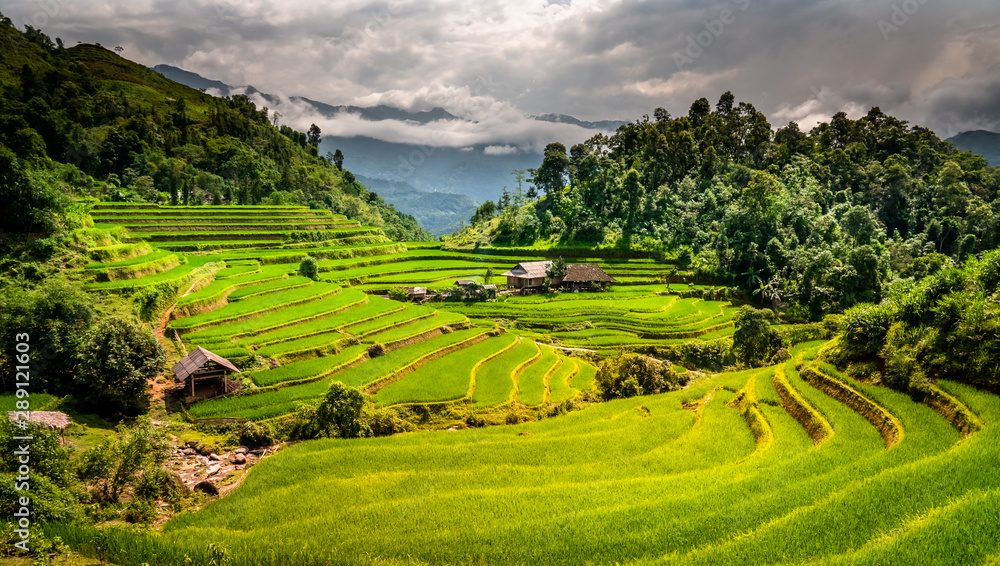 Landscape of Vietnam, terraced rice fields of Hoang Su Phi district, Ha Giang province. Spectacular rice fields. 