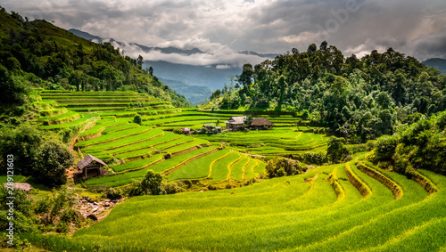 Landscape of Vietnam, terraced rice fields of Hoang Su Phi district, Ha Giang province. Spectacular rice fields. 
