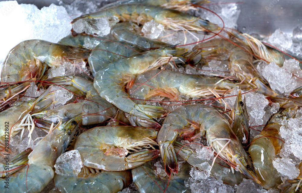Fresh shrimps wiht ice in market. It's a raw material for cooking. Fresh shrimps wiht ice in market. It's a raw material for cooking.