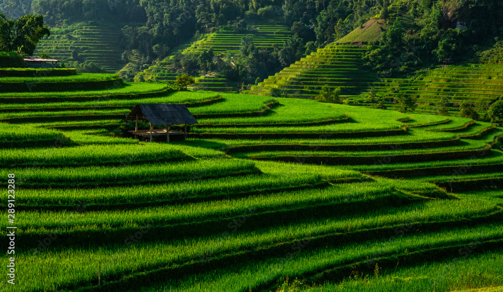 Landscape of Vietnam, terraced rice fields of Hoang Su Phi district, Ha Giang province. Spectacular rice fields. Landscape of Vietnam, terraced rice fields of Hoang Su Phi district, Ha Giang province. Spectacular rice fields.