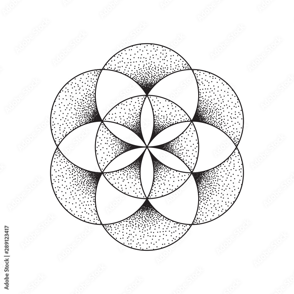 flower-of-life-symbol-geometric-symbol-vector-illustration-eps-10