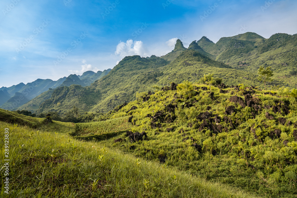 Naklejka premium Rocky landscape around Du Gia, Ha Giang province, Vietnam. Stunning scenery with limestone karst mountains. 