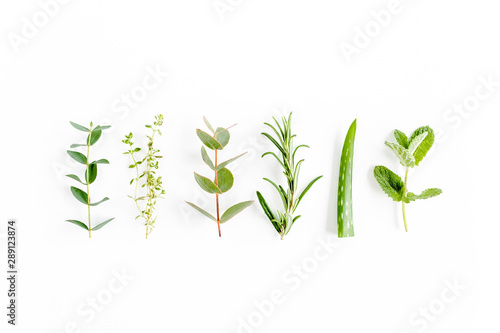 Mix of herbs, green branches, leaves mint, eucalyptus, rosemary, aloe Vera and plants collection on white background. Set of medicinal herbs. Flat lay. Top view.