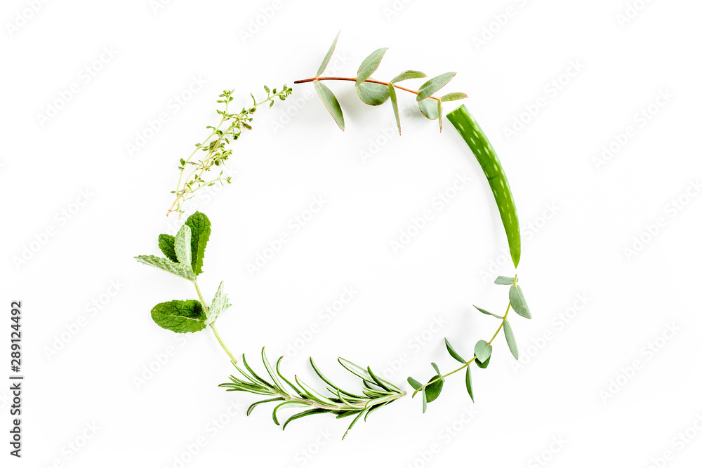 Obraz premium Round wreath frame made of mix of herbs, green branches, leaves mint, aloe Vera, eucalyptus, thyme and plants collection on white background. Set of medicinal herbs. Flat lay. Top view.