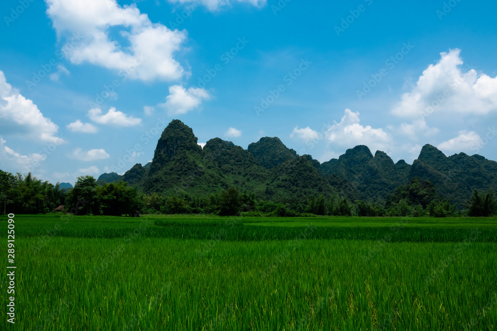 Phia Thap, a small rural village and valley in Quang Uyen district, Cao Bang province, North Vietnam. Typical Vietnamese landscape with rice fields and karst mountains. 