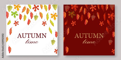 Autumn leaves banners set with white and burgundy fall background vector illustration. Yellow, orange, green, brouchure, layout, book, album burgundy autumn leaves.