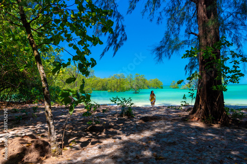 Idyllic tropical beach