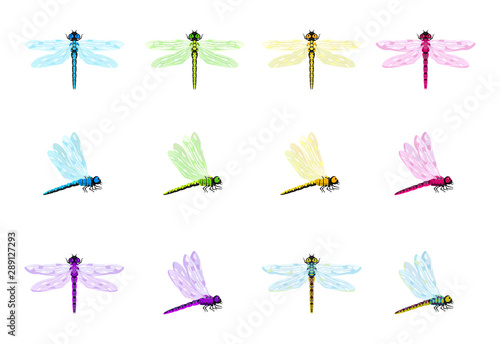 Vector set of dragonflies in various colors. Cartoon dragonflies in bright colors for children.