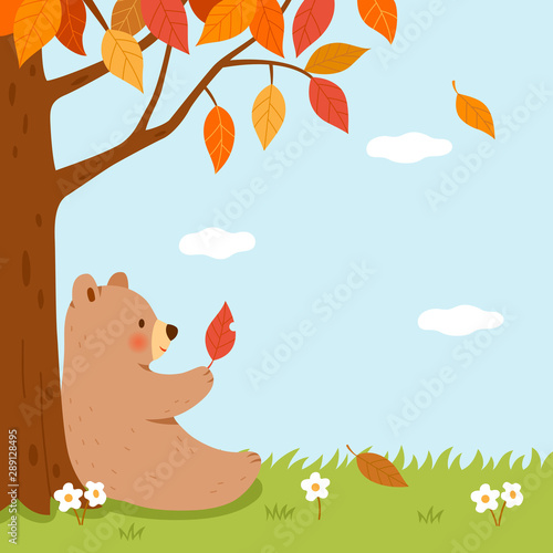 A bear and fallen leaves under the autumn tree