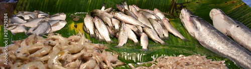 Fishes for Selling in Local Fish Market