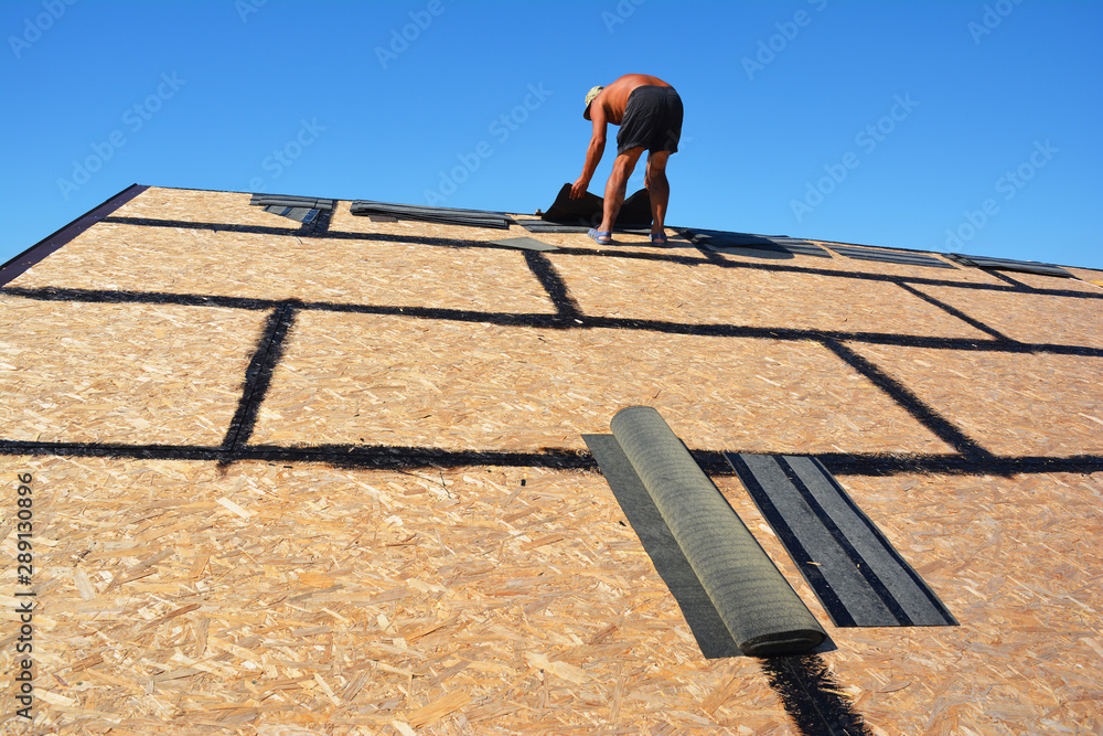 Asphalt Shingles Roofing Construction. Roofer roofing construction with