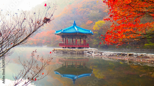 Autumn Maple in Naejangsan national park with reflection in the water,Colorful autumn season in South Korea,tourist attraction in South korea..