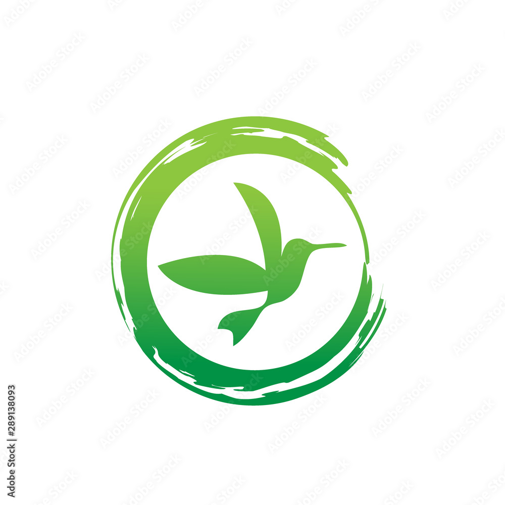 Colibri or humming bird icons. Vector isolated set of flying birds with spread flittering wings Colibri or humming bird icons. Vector isolated set of flying birds with spread flittering wings