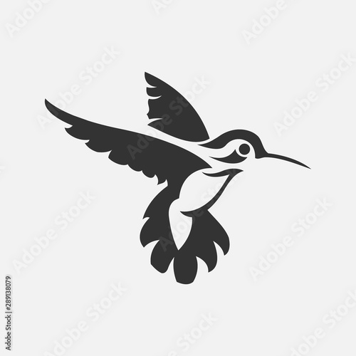 Colibri or humming bird icons. Vector isolated set of flying birds with spread flittering wings photo