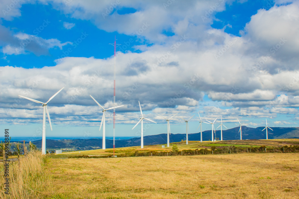 Wind turbines of a wind farm