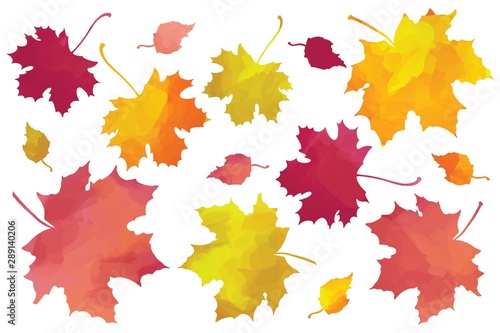 Bright autumn forest leaves silhouettes set  colorful clip art on white background