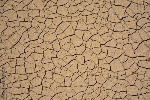 Tierra agrietada por causa de la sequía