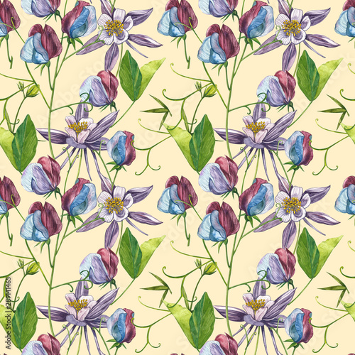 Seamless patterns. Watercolor set of Sweet Peas flowers and leaves, hand drawn floral illustration isolated on a white background. Collection garden and wild herb, flowers, branches. Botanical art. © asetrova
