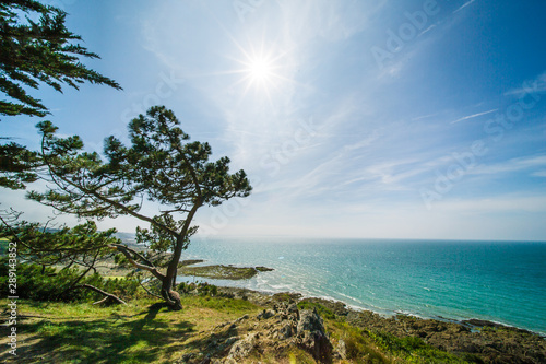 Atlantic Ocean Coastline with Turquoise Blue Water and Pine Trees on a Sunny Summer Day in Brittany France photo