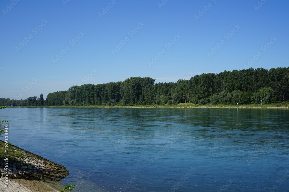 Rhein bei Neuburgweier