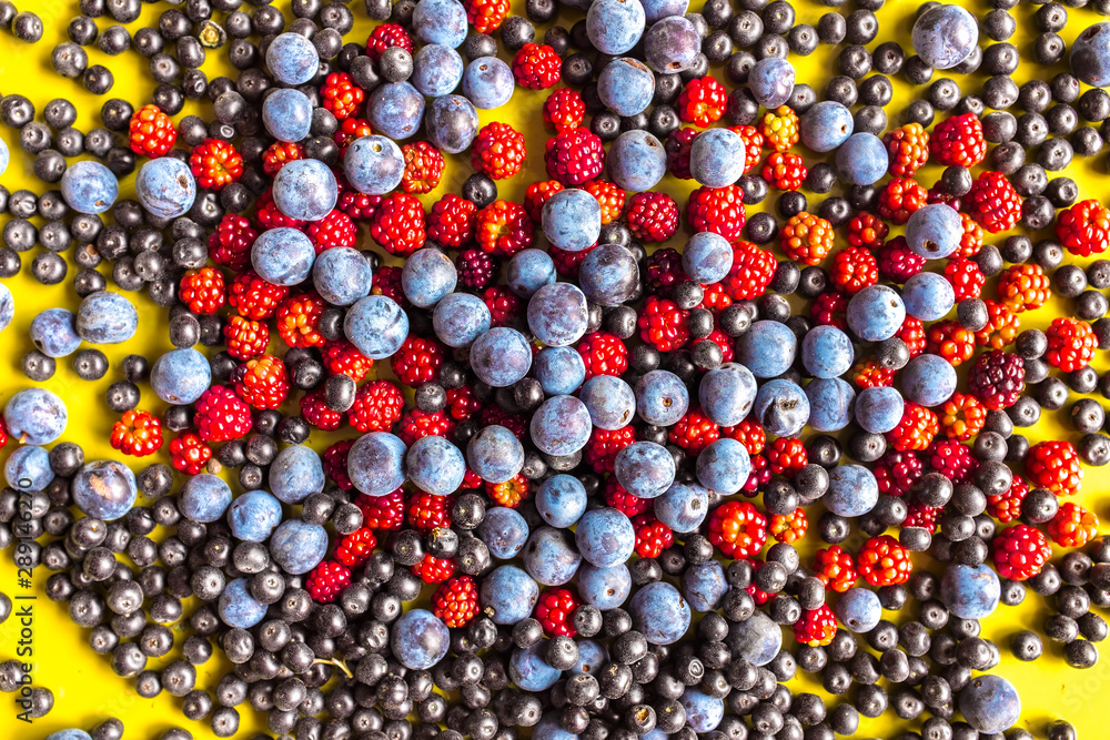 Fruits of the forest: blackthorn, red mulberry and dogwood fruits on yellow background