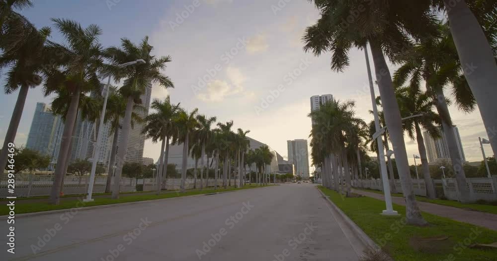 Palm tree lined road Downtown Miami FL forward gimbal motion 4k 60p Palm tree lined road Downtown Miami FL forward gimbal motion 4k 60p