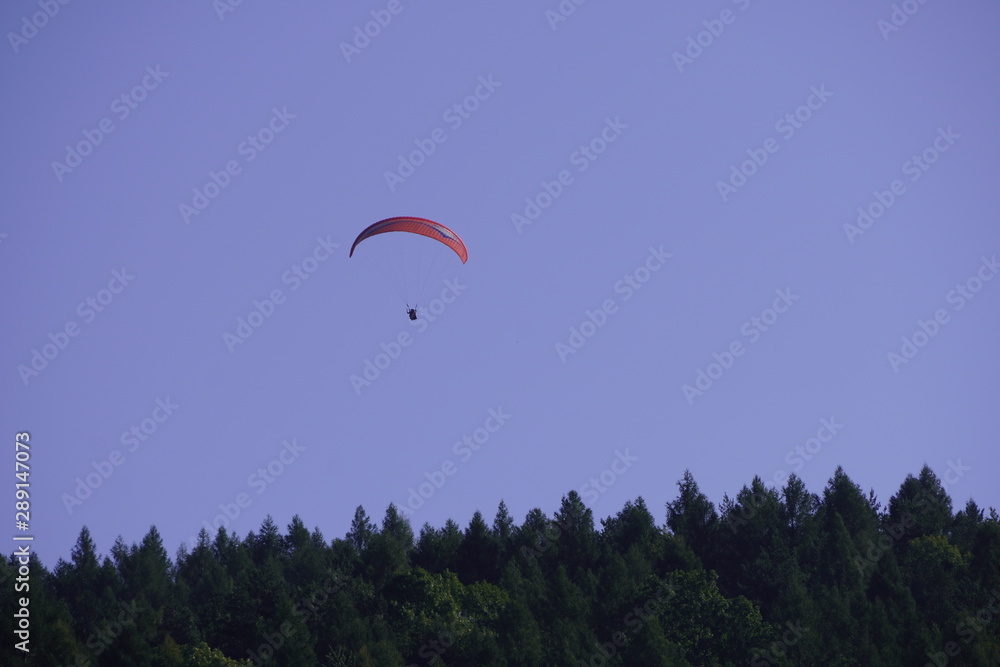 a man flies a paraglider from the mountain, surrounded by forests. flying under wing. outdoor activity a man flies a paraglider from the mountain, surrounded by forests. flying under wing. outdoor activity