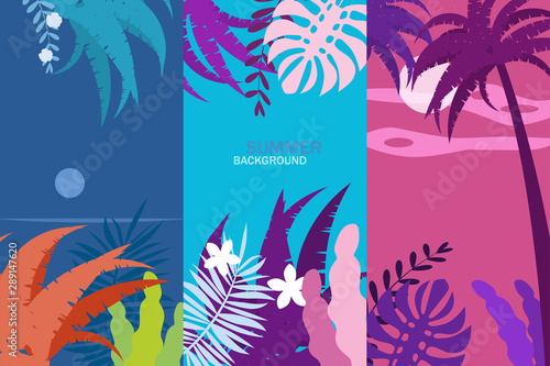 Set summer tropical template backgrounds stories with palms, sky and sunset