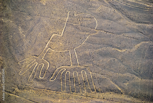 Nazca lines