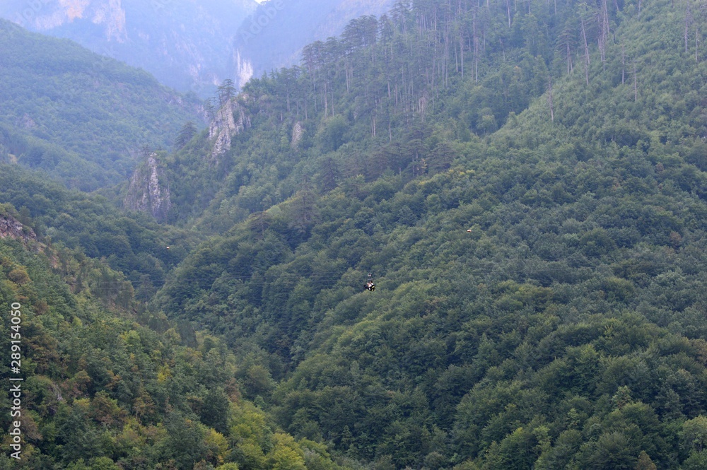 Naklejka premium mountain landscape in the forest