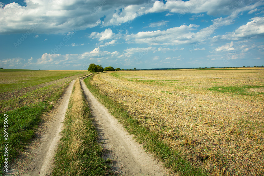 Dirt road through farmland, white clouds on a blue sky Dirt road through farmland, white clouds on a blue sky