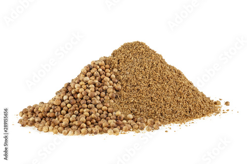 Seeds and powder of coriander spice isolated on white background, close-up.