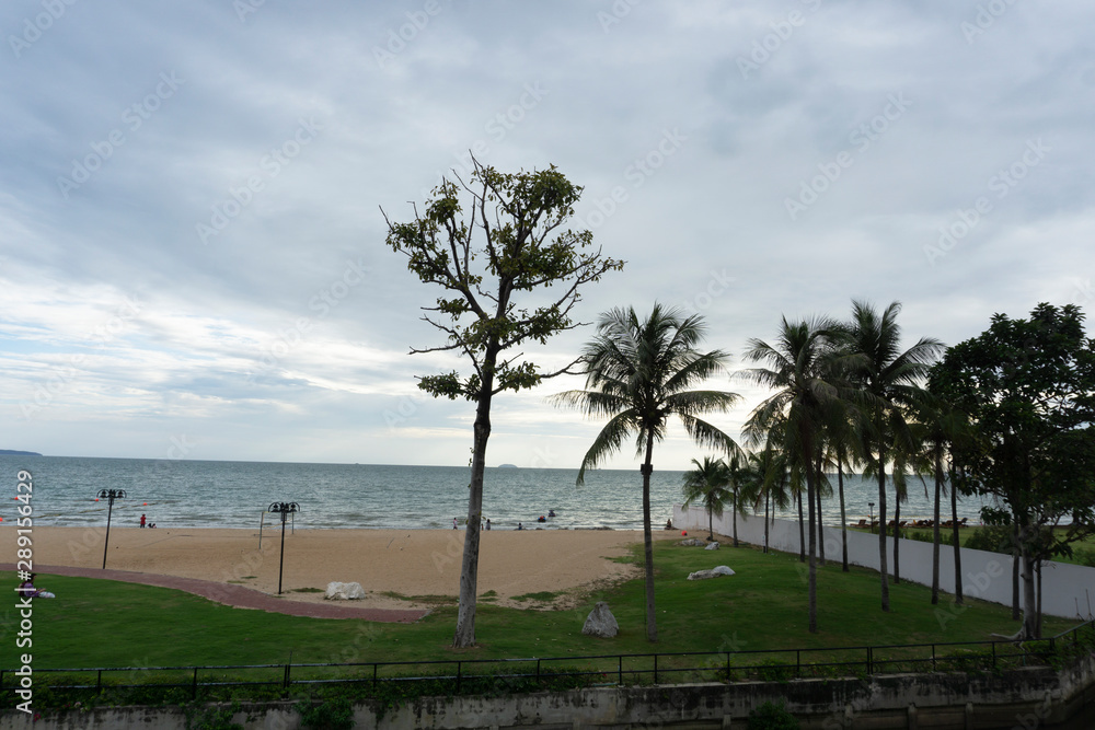 Palm trees by the beach with clear blue sky and ocean view. Palm trees by the beach with clear blue sky and ocean view.